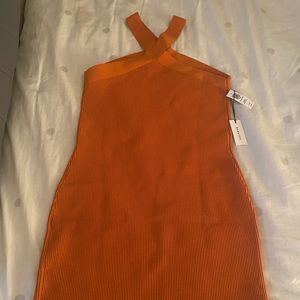 Brand New Aritzia mini dress